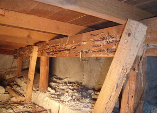 また床下の白蟻被害は湿気や木材の腐朽により併発する場合がほとんどの為、放置すれば同時に白蟻の侵入を招く恐れがあります