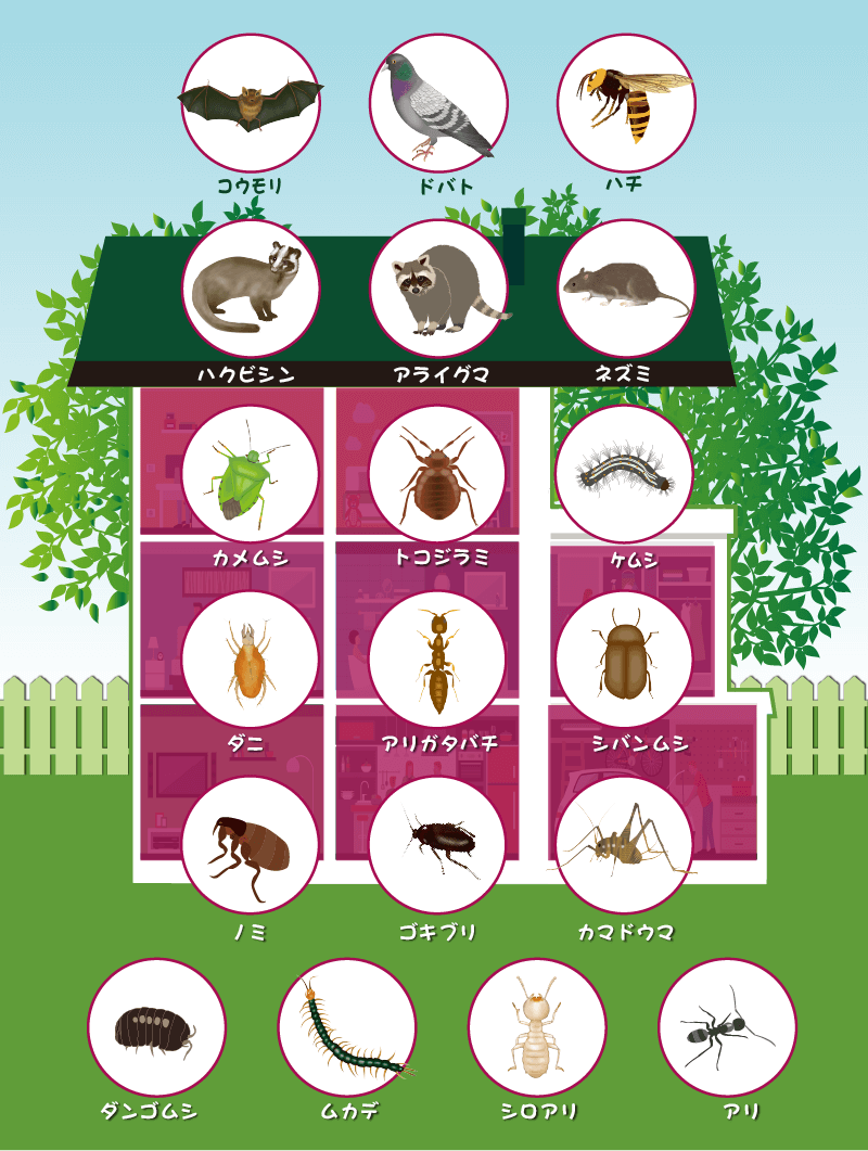 円の中の動物や虫を触ると解説のページにリンクします