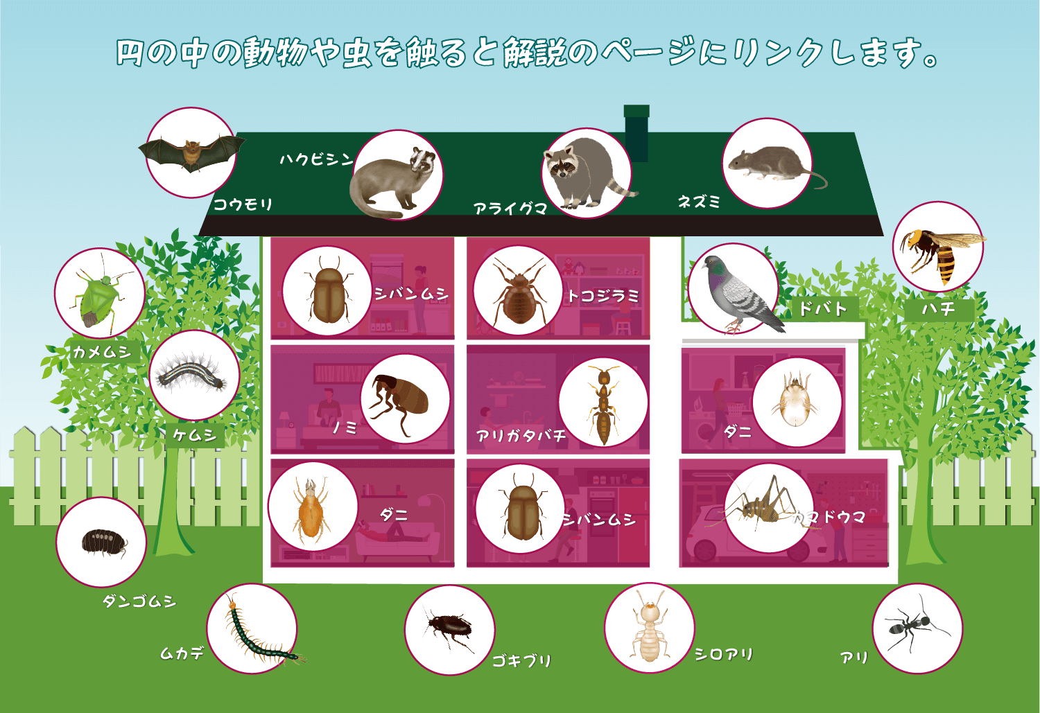 円の中の動物や虫を触ると解説のページにリンクします