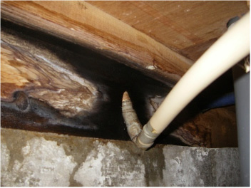 床下の環境（構造・通風）・漏水等トラブルの早期発見等