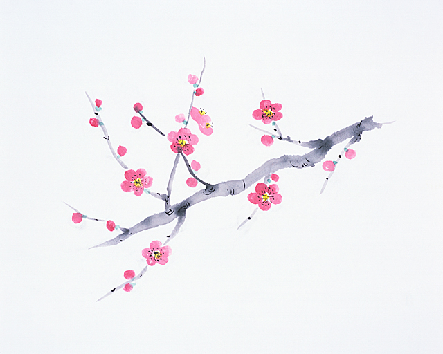 3月定休日のお知らせ